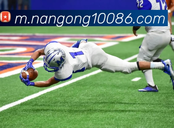 南宫体育服务体系